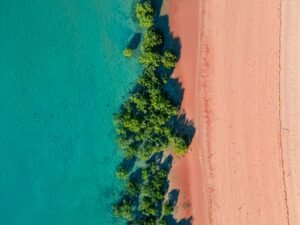 Red beach, blue ocean separated by green trees, top down photo