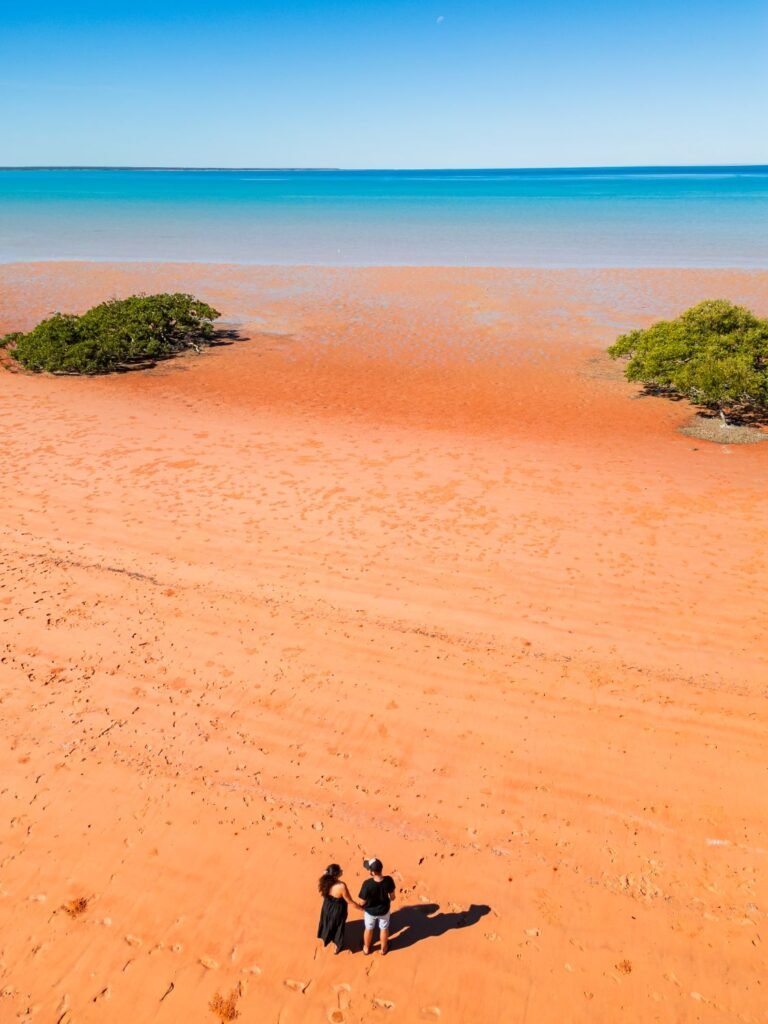 Red beach, blue ocean, 2 people standing in the foreground, drone image