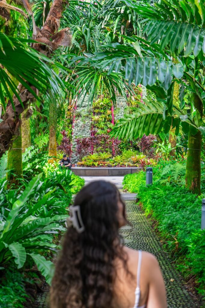 girl in foreground staring into thick, dense green forest