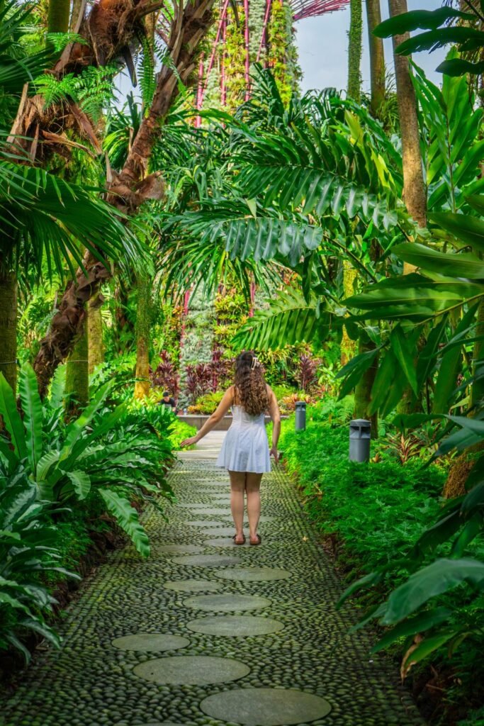 girl in foreground staring into thick, dense green forest in singapore