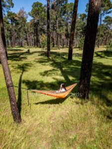 Nakie Hammock in pine forest, girl in hammock with white shirt, dark hair