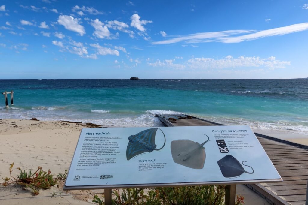 Sign showing stingrays at beach, ocean in background