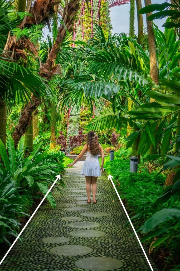 Girl walking in jungle, footpath, leading lines, Singapore garden