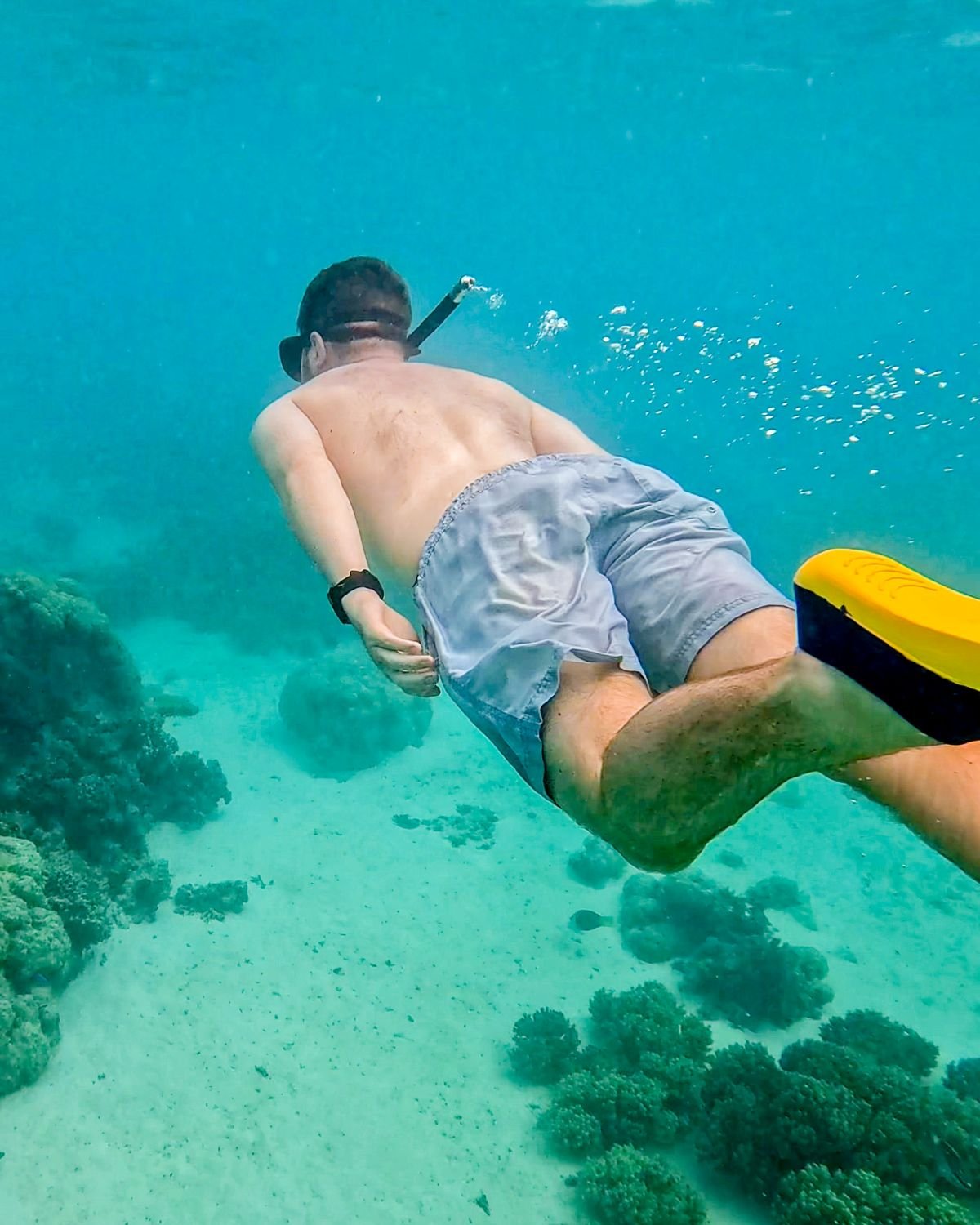 Snorkelling in clear water