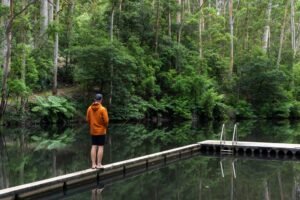 Man standing on small jetty overlooking very calm lake, forest in background