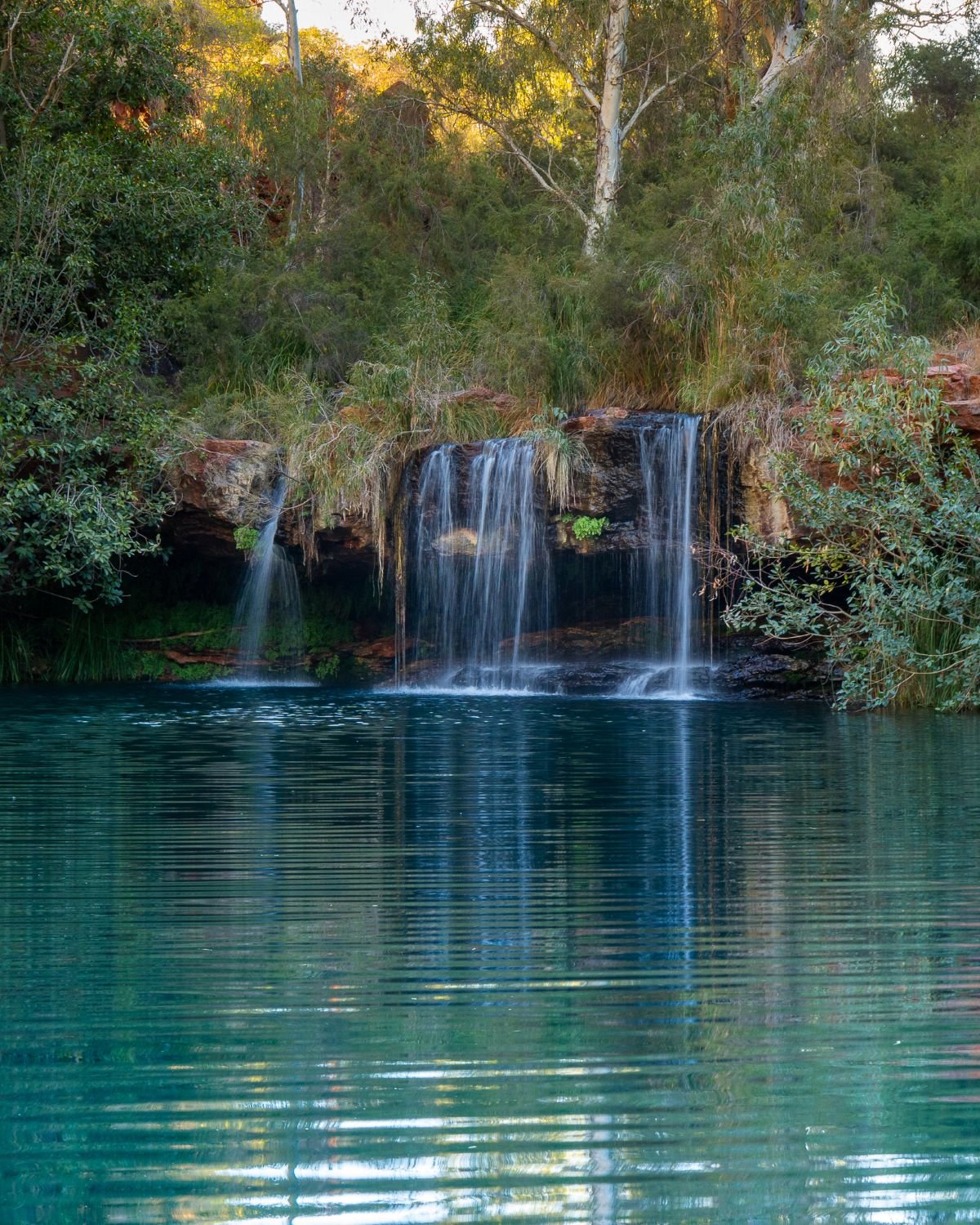 Fern Pool in Karijini National Park